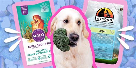 Vegan Dog Food: Vet-Recommended Brands And What Pet Parents Should Know ...