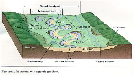 Fluvial depositional landforms - INSIGHTS IAS - Simplifying UPSC IAS ...