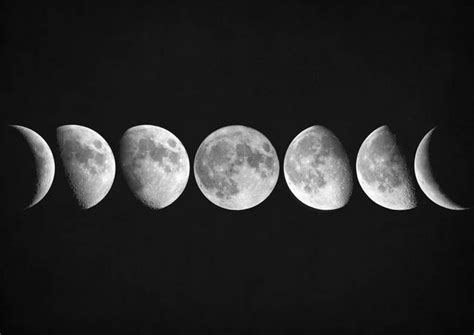 "Moon Phases" by Zapista Zapista | Moon phases art, Moon phases, Moon art