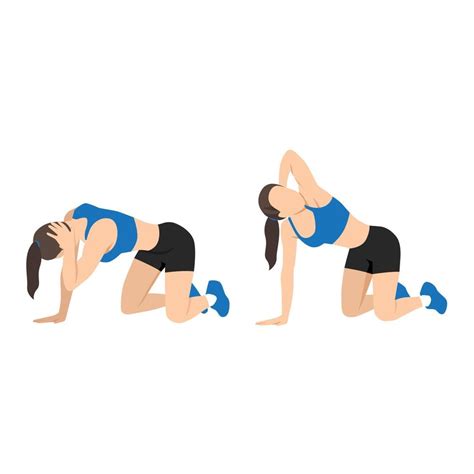 Woman doing exercise in thoracic rotation pose or quadruped rotation ...