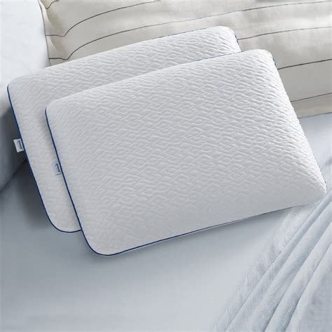 Sleep Innovations Forever Cool Gel Memory Foam Standard Pillow with ...