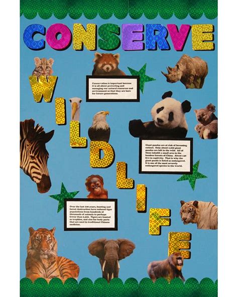 Make a Conserve Wildlife Poster | School Project Poster Ideas ...