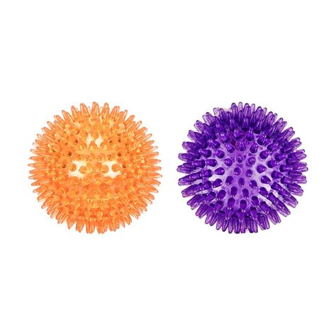 Rosewood Catch & Play Spikey Ball Dog Toy at Pet Shop 2Go