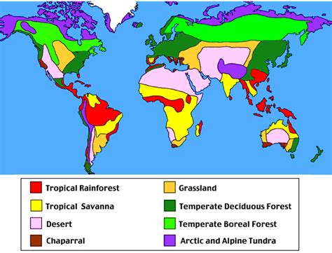 Tropical Rainforest World Map - United States Map