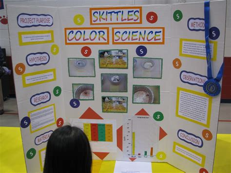 10 Perfect Science Fair Project Ideas 4Th Grade 2024