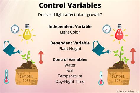 What Is a Control Variable? Definition and Examples