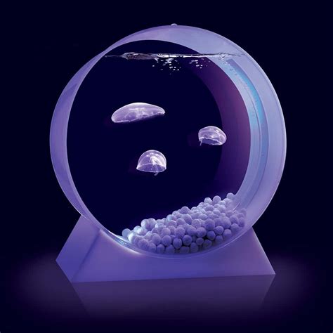 Moon JellyFish Desktop Tank – NoveltyStreet