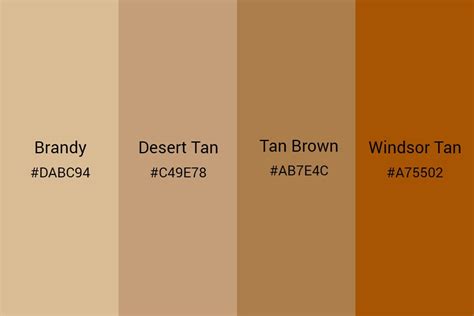 All You Need to Know about Tan Color: An Ultimate Guide