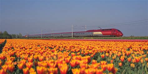 Thalys - Rail Tours | Great Rail Journeys