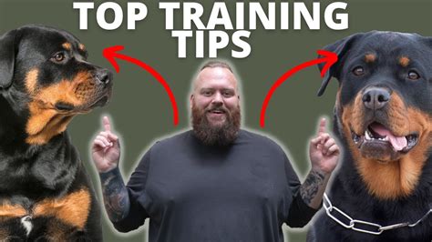 3 TIPS FOR TRAINING YOUR ROTTWEILER - YouTube