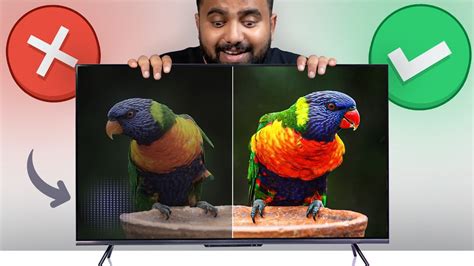 QLED Vs OLED Which Should You Choose? [Ultimate Guide], 41% OFF