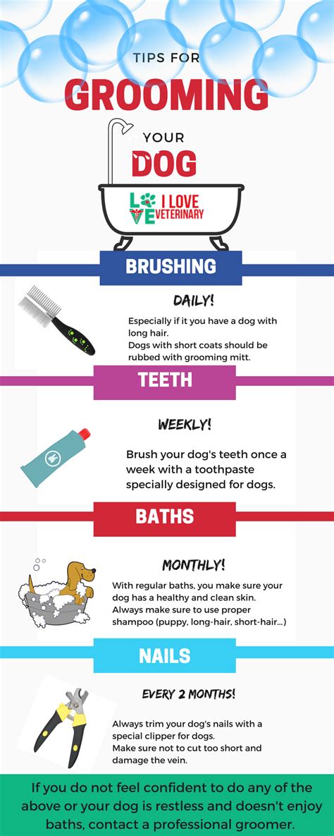 Tips for Grooming your Dog | Grooming, Tips, Pet health care