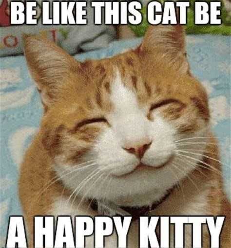 Happy Cat Meme Discover more interesting Cat, Happy, Kitten, Kitty ...