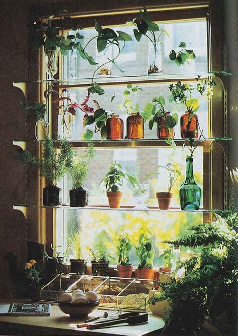 Kitchen window idea | Plants, Window plants, Garden windows