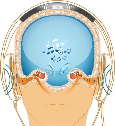 What is Bone Conduction Technology? - USBigStore | Conduction ...