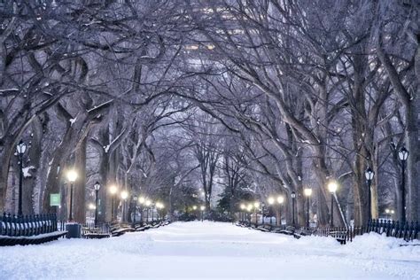 Central Park in Winter Guide | The Best Central Park Snow Day Spots