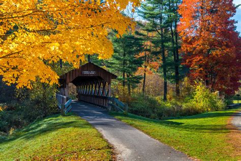 Allegany State Park-Red House Area | Salamanca, NY 14779