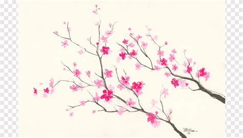 Cherry blossom Drawing Pencil Sketch, Sakura Flower Drawing, watercolor ...