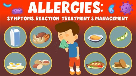 Allergies: Symptoms, Reaction, Treatment & Management - Video for Kids ...