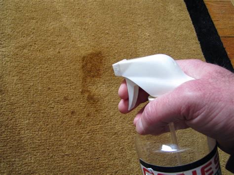 How to clean cat vomit stains. Remove puke stains easily with Genesis ...