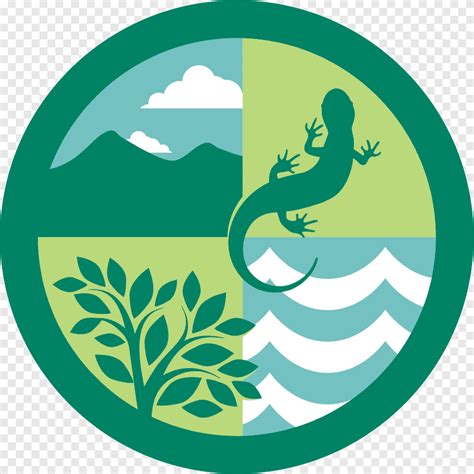 Ecosystem Forest ecology Logo Natural environment, Edu Ecosystem, leaf ...