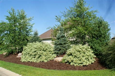 how to build a berm for landscaping - Vasiliki Aquino