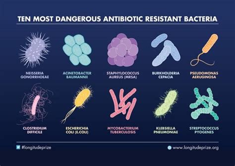 Longitude Prize on AMR on Twitter | Biomedical science, Microbiology ...