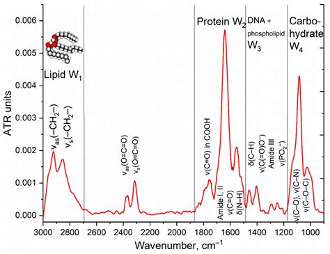 Ftir Spectra Table Pdf - Infoupdate.org