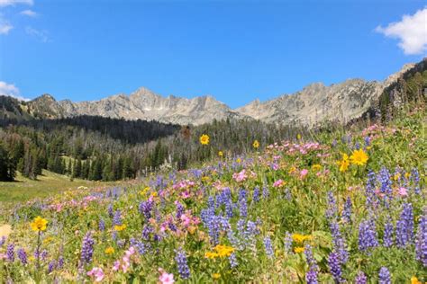 7 of the Most Epic Big Sky Hiking Trails | Chasing Trail