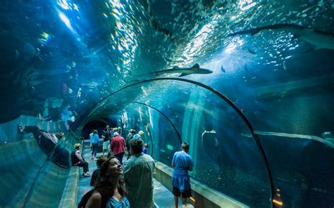 Image result for seaside oregon aquarium | Seaside oregon, Ripley ...