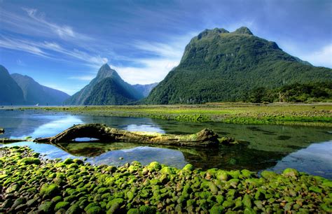 landscape, Photography, Nature, Mountains, Moss, Milford Sound, Fjord ...