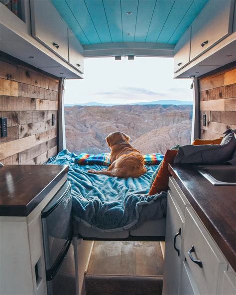 How to vanlife with a dog longterm | Outdoor dog house, Camper van ...