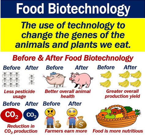 What is food biotechnology? Definition and examples - Market Business News