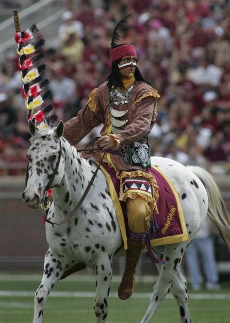 Florida State University mascot #seminoles - #WORKLAD | Florida state ...