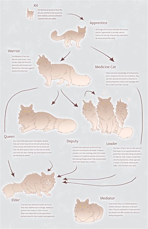 The ranks of the Clans | Warrior Cats