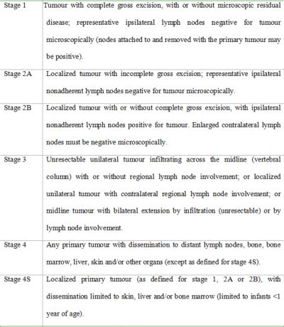 Internet Scientific Publications