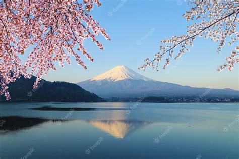 Premium Photo | Mount Fuji, view from Lake Kawaguchiko