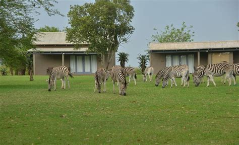 Perfect Family Choice - Tala Game Reserve - Activities