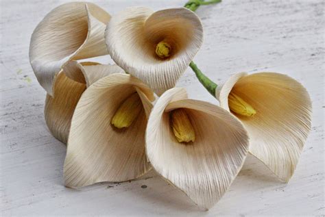 Reduce. Reuse. Recycle. Replenish. Restore.: DIY: How To Make Calla ...