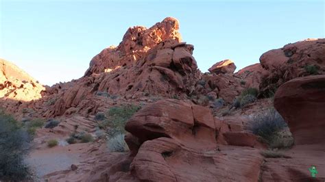 Petroglyphs at Mouse's Tank Trail in Valley of Fire State Park - Cactus ...