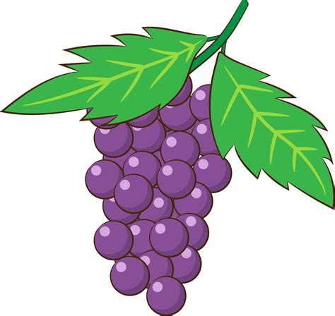 Grape png graphic clipart design 19614439 PNG