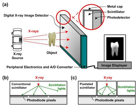 Digital X-ray detector and two different types of scintillator. (a ...