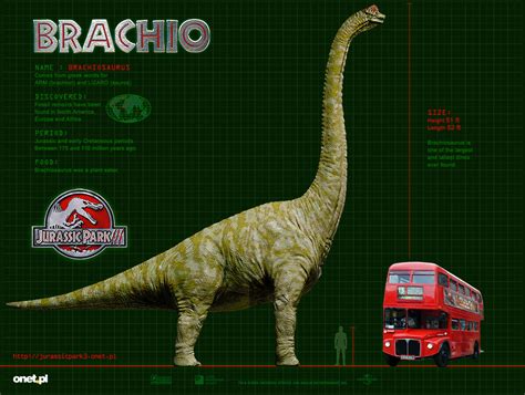 Brachiosaurus - Park Pedia - Jurassic Park, Dinosaurs, Stephen Spielberg