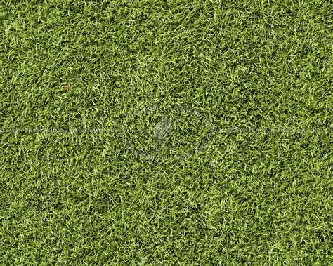 Green grass texture seamless 13012