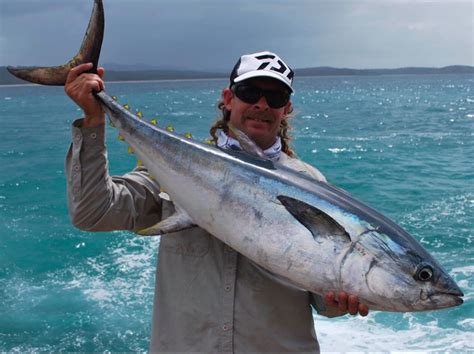 Longtail tuna swims 120 km in two weeks - Fishing World Australia