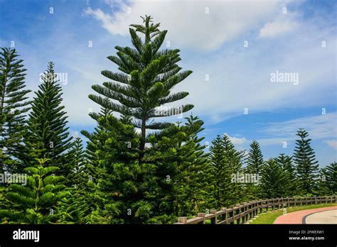 Taman saujana hijau hi-res stock photography and images - Alamy