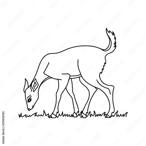 Deer Eating Grass Drawing