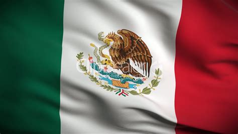 Contact Support | Mexico flag, Mexican flags, Mexico