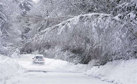 Maine town buried in 79 inches of snow - masslive.com