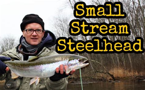 How to Fly Fish for Steelhead in Small Streams | Guide Recommended